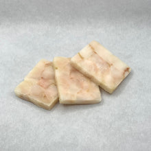 画像をギャラリービューアに読み込む, サンドイッチ、バーガー用 タラサンプルセット